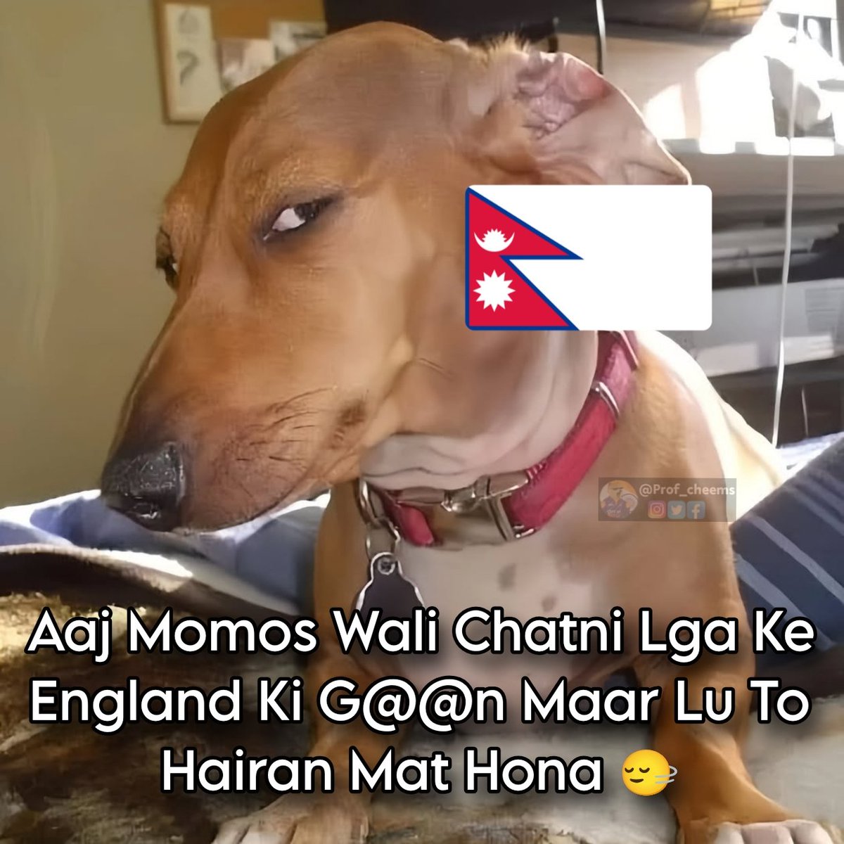 Prof_Cheems's tweet image. #ENGvsNEP #ENGvNEP 
Well Played Nepal 👀💀