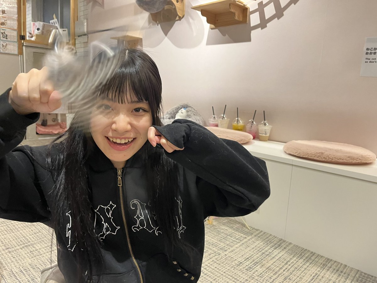 kingter0501's tweet photo. アルバム購入特典@猫カフェ

2枠入れて幸やった💚

1枠目は楽しみ方分からんくてKING貫いた感はあるけど2枠目は一気にデレった

うん、これは可愛いが溢れてた https://t.co/OKr56a5Lv3