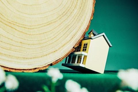 Having a certified professional on hand makes a difference. As far as your yard is concerned, seeking advice from an arborist could save your trees from getting sick, costing you thousands. tinybfs.com/t/BaVo3f