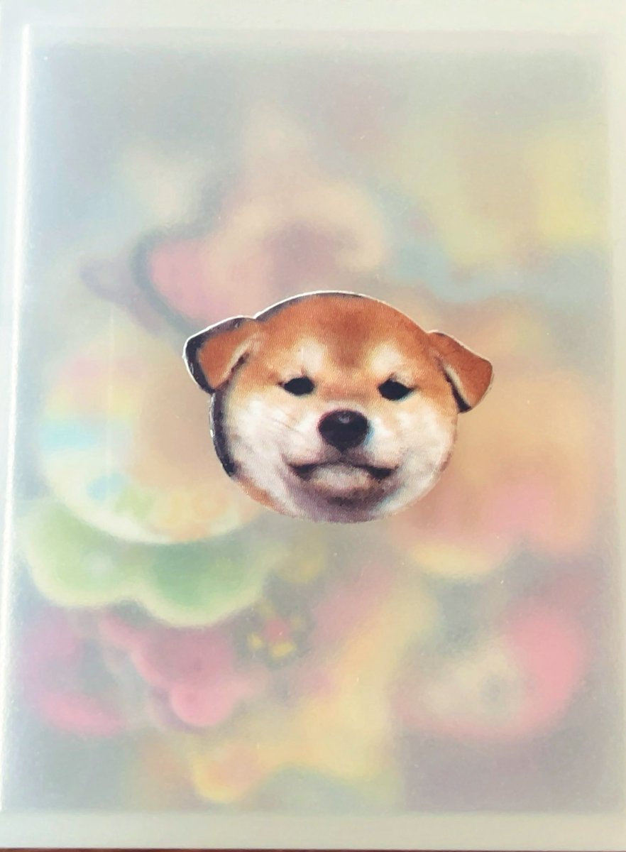 いちごの片想い (@memorial_0000) on Twitter photo 