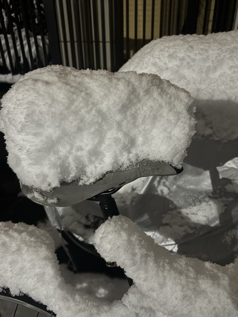 選挙結果がくだらなさすぎるのでオリンピック観ます！

てか、雪まだ降ってるけど明日朝は大変な事になりそう
平野部の人間は特に雪に慣れてないだけに…

写真はチャリに積もった雪！