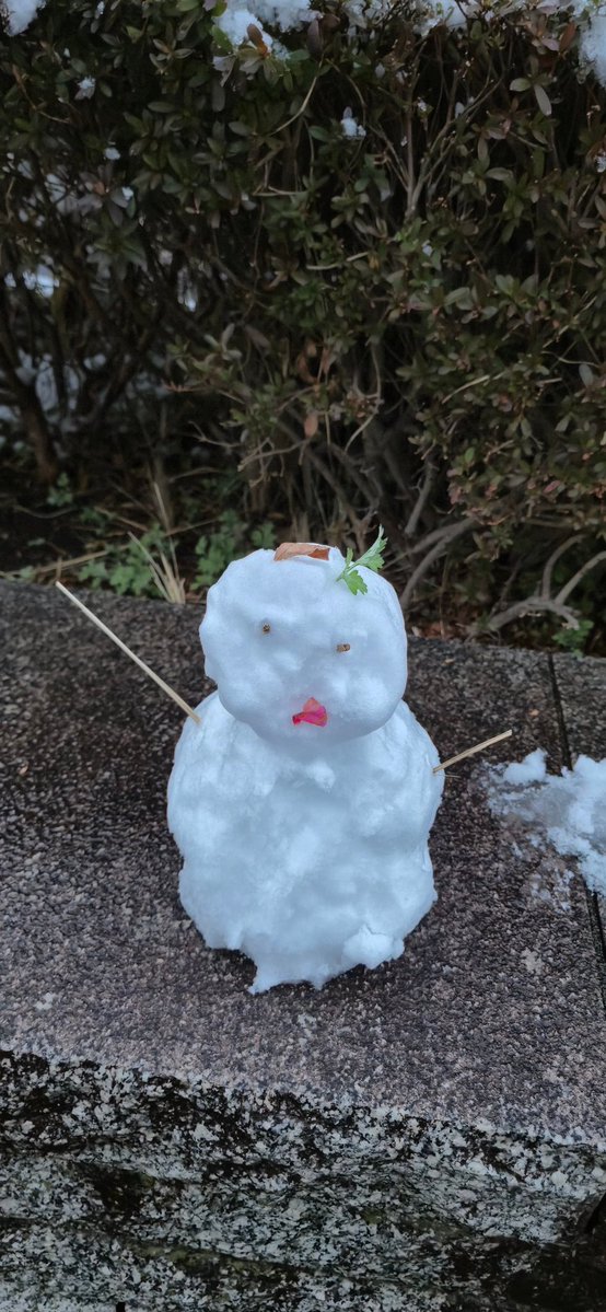 Lukeirin's tweet image. C'était vraiment sympa ma première wonder festival ! Il neigé, les photos etaient super belles, je suis tellement content d'avoir vu autant de cosplay kigurumi ! ❄️❤️🥰 (j'ose pas poster les photos parce que je ne me rappelle pas de qui est d'accord pour ! 🙇‍♂️)
#WF2026W