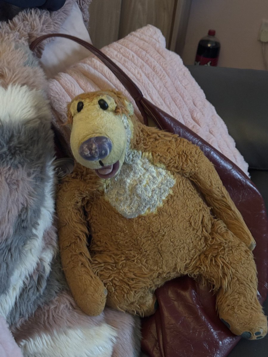 Bear Honey (@BaDameIshaBEAR) / Posts / X