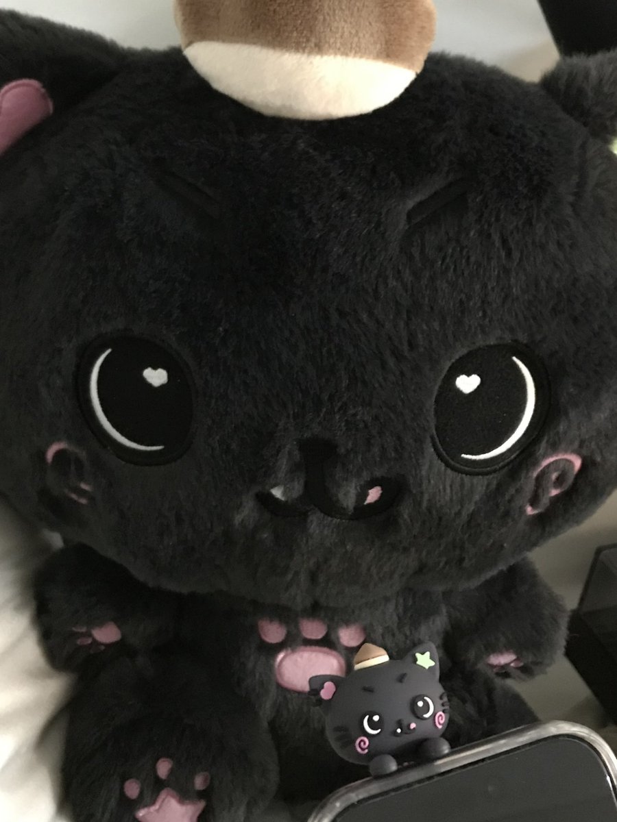 𝗠𝗘𝗢𝗪 tweet media