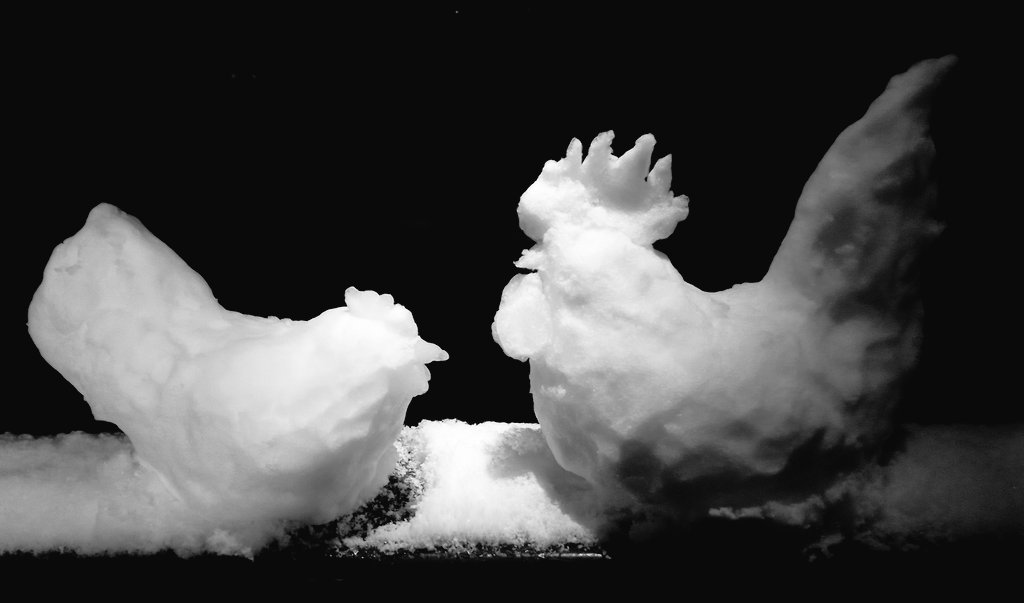 雪チャボ作りました🐓