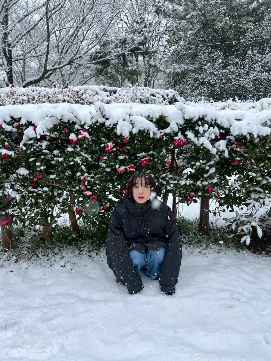 日菜子 tweet media