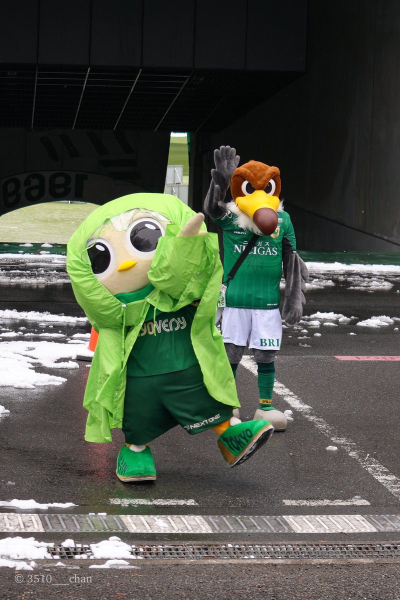 ことみ㌠@マスコット垢 tweet media