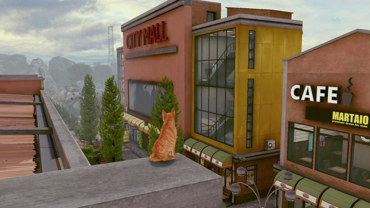 KrolMichal's tweet image. Na prawie wszystkie konsole trafiła kocia zręcznościowa przygodówka Little Strays 2 od studia Commando Panda. Ceny: 14 zł #Switch, 56 zł #XboxSeriesX / #XboxOne i 89 zł #PS5. 

#polskiegry #CommandoPanda #PlayStation5 #Xbox #Nintendo #cat #cats #kot #koty