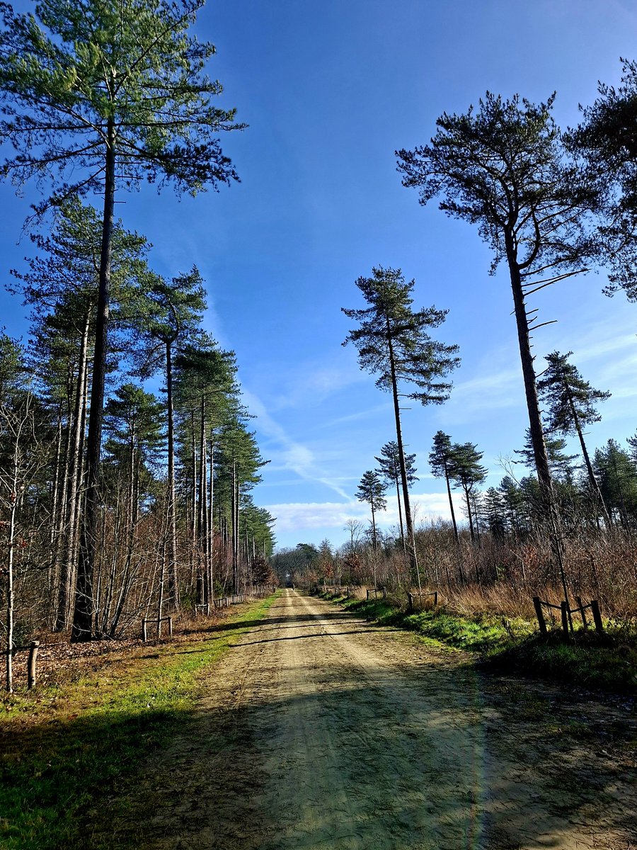 TanjaJoris's tweet photo. Westerlo om 11.32u. #vrtweer #NaturePhotography #NatureLover #weatherphoto @HetweerinBelgie @MeteovistaBe https://t.co/U56bYhDHte