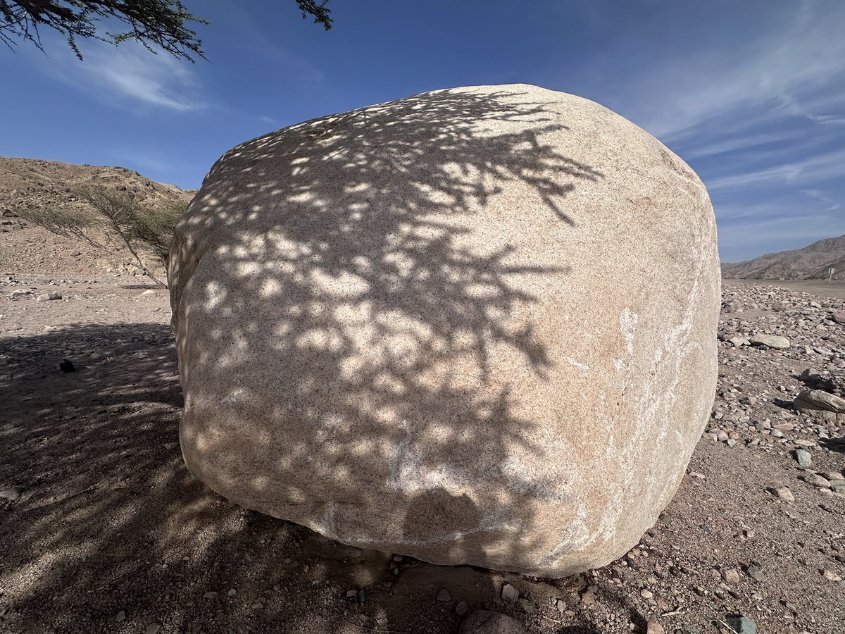 EvolveLeadLove's tweet photo. A Shadow Cast in Stone
Character is like a tree and reputation like a shadow. The shadow is what we think of it; the tree is the real thing.
๏ฟผ
-Abraham Lincoln
I loved this play of Light and Shadow it made both Tree and Stone look great .
#travelphotography #Haql #NEOM #SaudiArabia