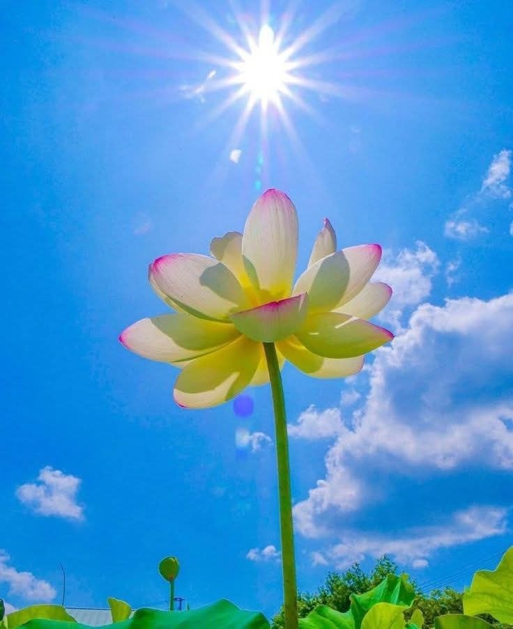 gm fam! collecting XP in spooky spots? i'm all in! #bullish on <a href="/ZenO4AI/">ZenO</a> ���� lfg!