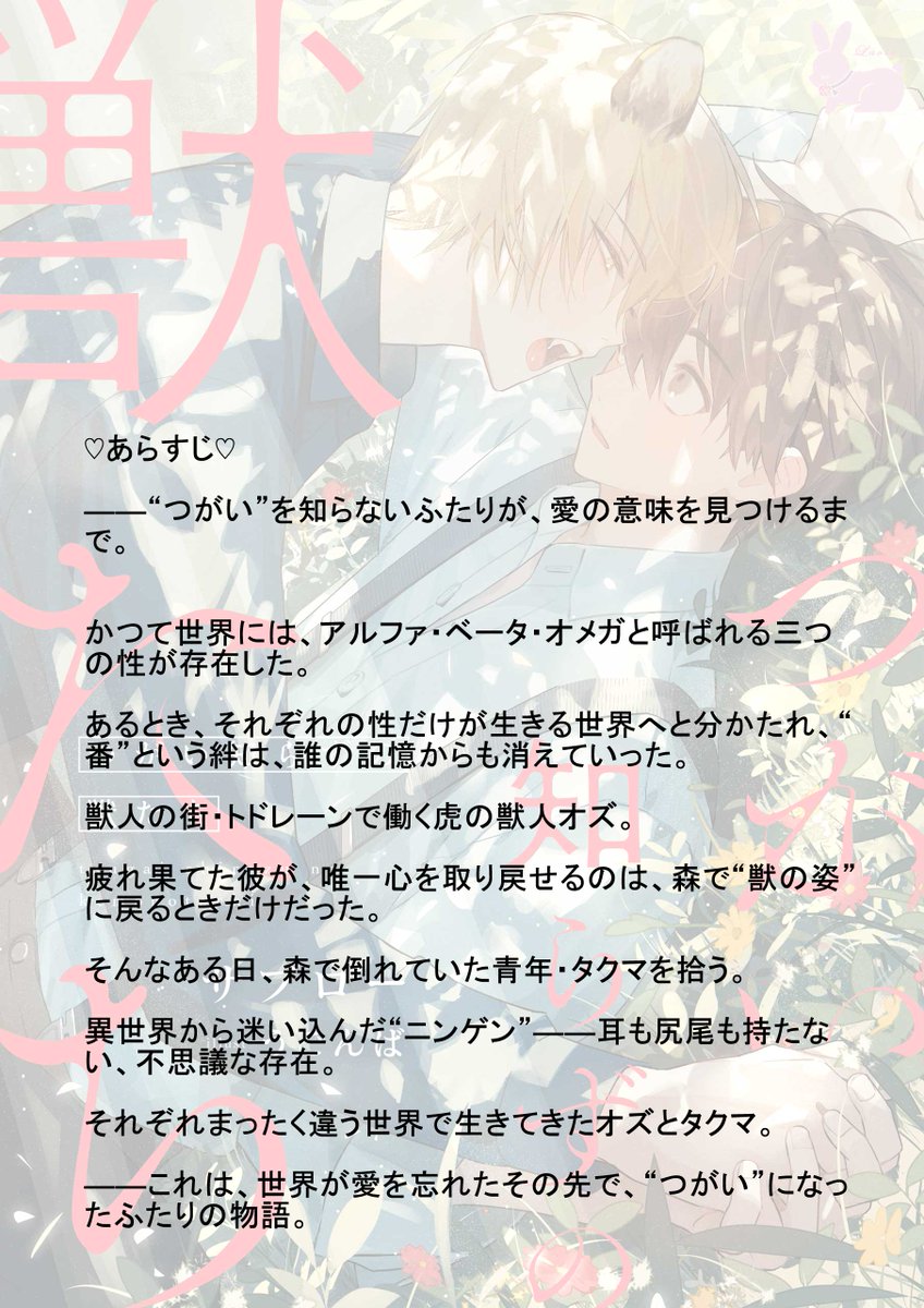 ラヴィノベルズ🐰コミックラヴィ編集部 tweet media