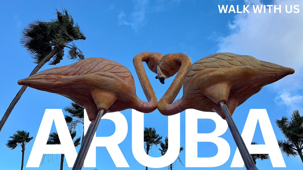 OurAdventures2's tweet image. ⏰📷 NEW VIDEO NOW LIVE 📷⏰
youtu.be/qN52pdIEjio

@marellacruiseuk | @aruba 
#Aruba
#WalkWithUs