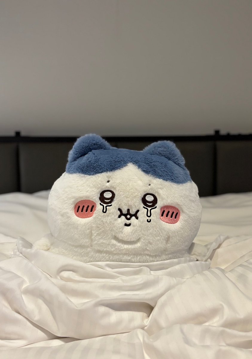 ちいたか (@chiisakunaihito) / Posts / X