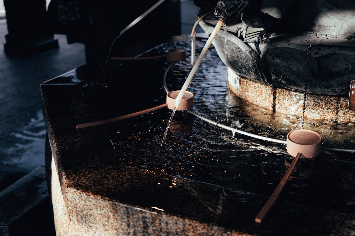 codotjt's tweet image. 