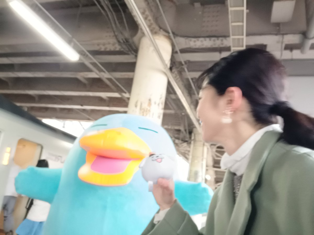 王寺町町制施行100周年記念ツアー
特急まほろばで特別な旅💖
和歌山線から万葉まほろば線、奈良線へ✨
車窓も皆さまの笑顔もすべてが美しく、雪の結晶のようにキラキラしていた旅でした❄
本当にありがとうございます！

2日間の旅は改めてご報告します。
出発前のイコちゃんと雪丸ちゃんと📷🩵