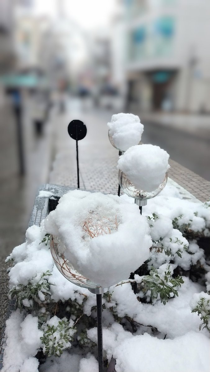 雪
あまり降らなかったな～⛄