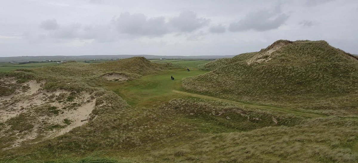 Lee Patterson tweet media