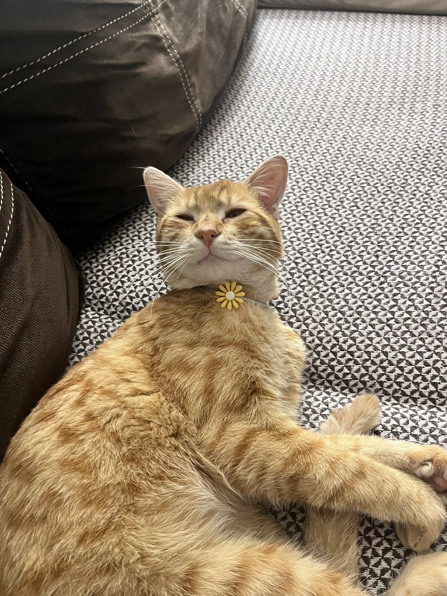 Papatyam papatya kolyesiyle😭🌼