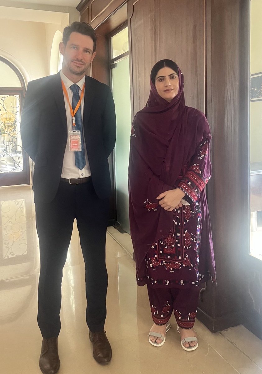 Mary Lawlor UN Special Rapporteur HRDs tweet media