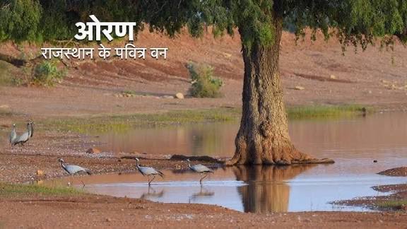 shardulbhati777's tweet photo. ओरण हमारी सामूहिक जिम्मेदारी है।
#ओरण_बचाओ_जैसाण_बचाओ https://t.co/C7u2fUgfPq