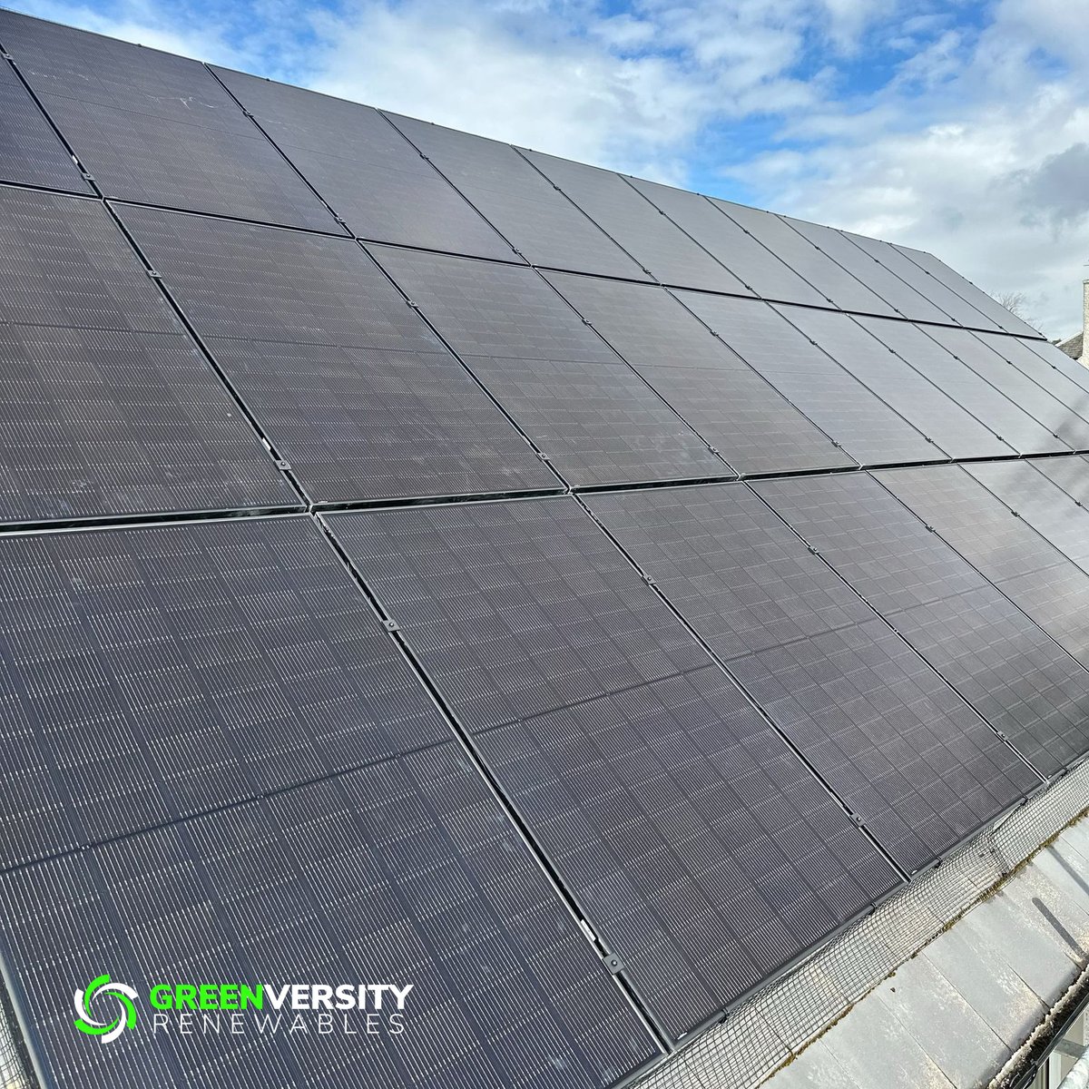 GreenVersity tweet media