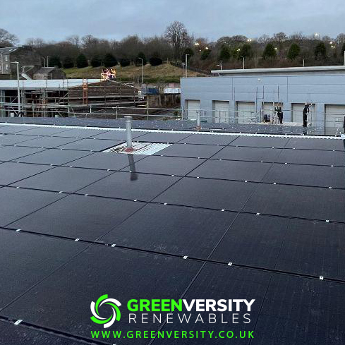 GreenVersity tweet media