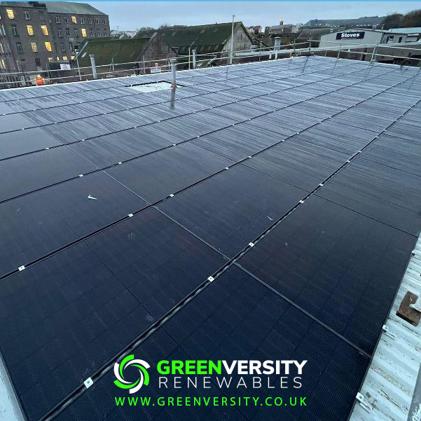 GreenVersity tweet media