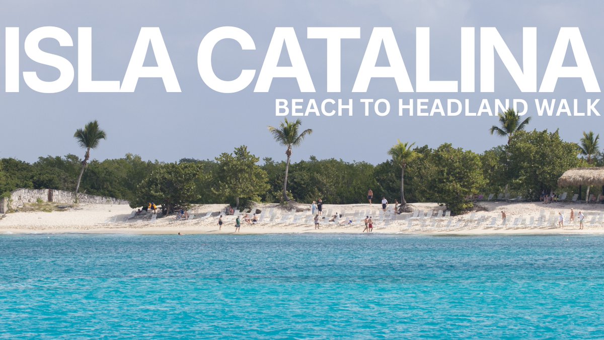 OurAdventures2's tweet image. ⏰📷 NEW VIDEO NOW LIVE 📷⏰
youtu.be/fBh4q8MSVH8

#IslaCatalina
#WalkWithUs