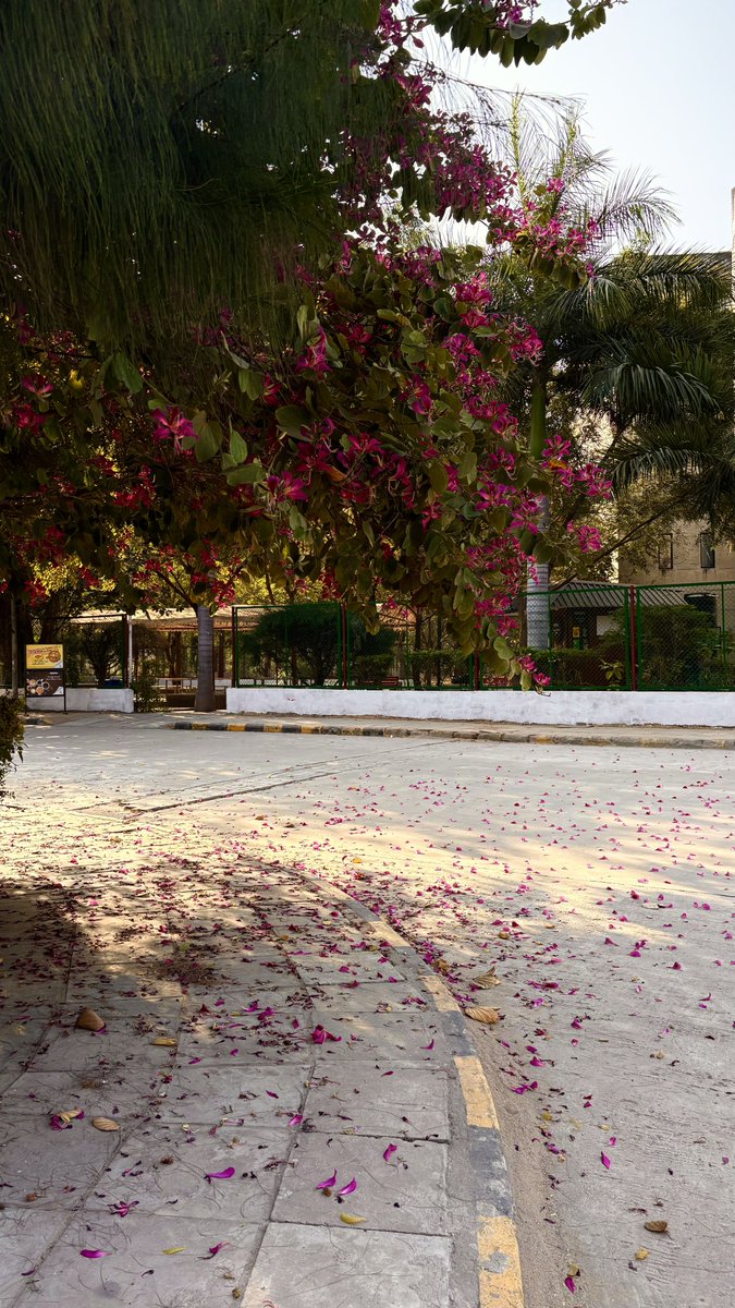yellowdhokla's tweet photo. Winter so far…
#GNLU https://t.co/hyCft68vHC