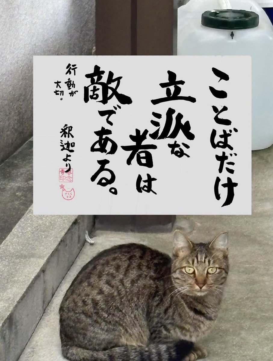 ネコさんから人間さんへ今日の一言