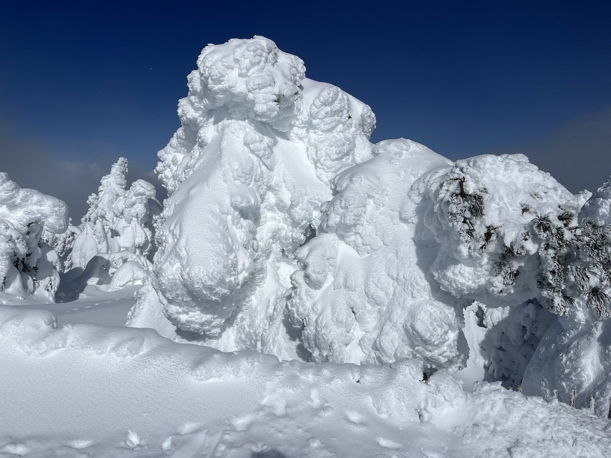 Lo Xic de Feliciano ⭑X tweet media