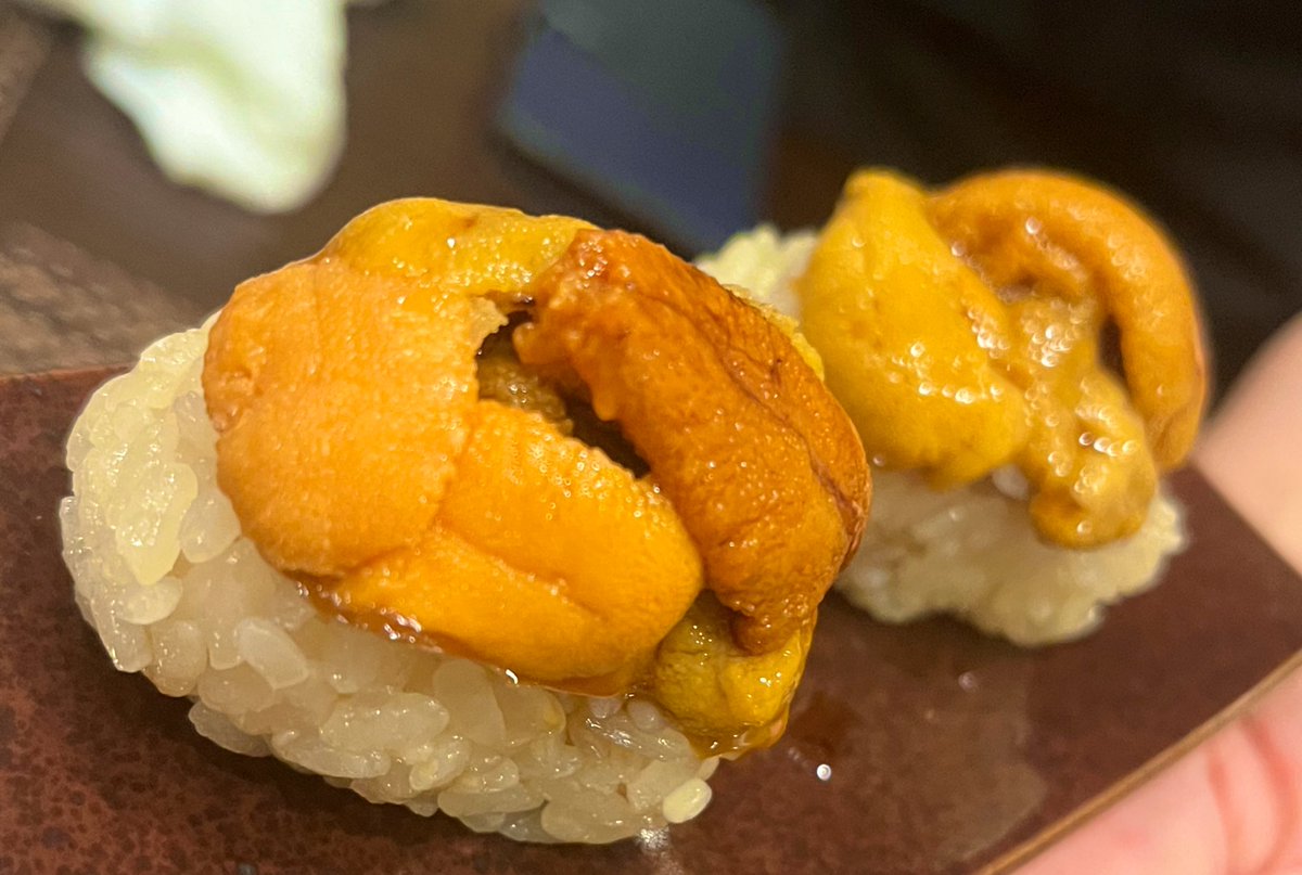 ハイカン：騎士カタンやろう tweet media