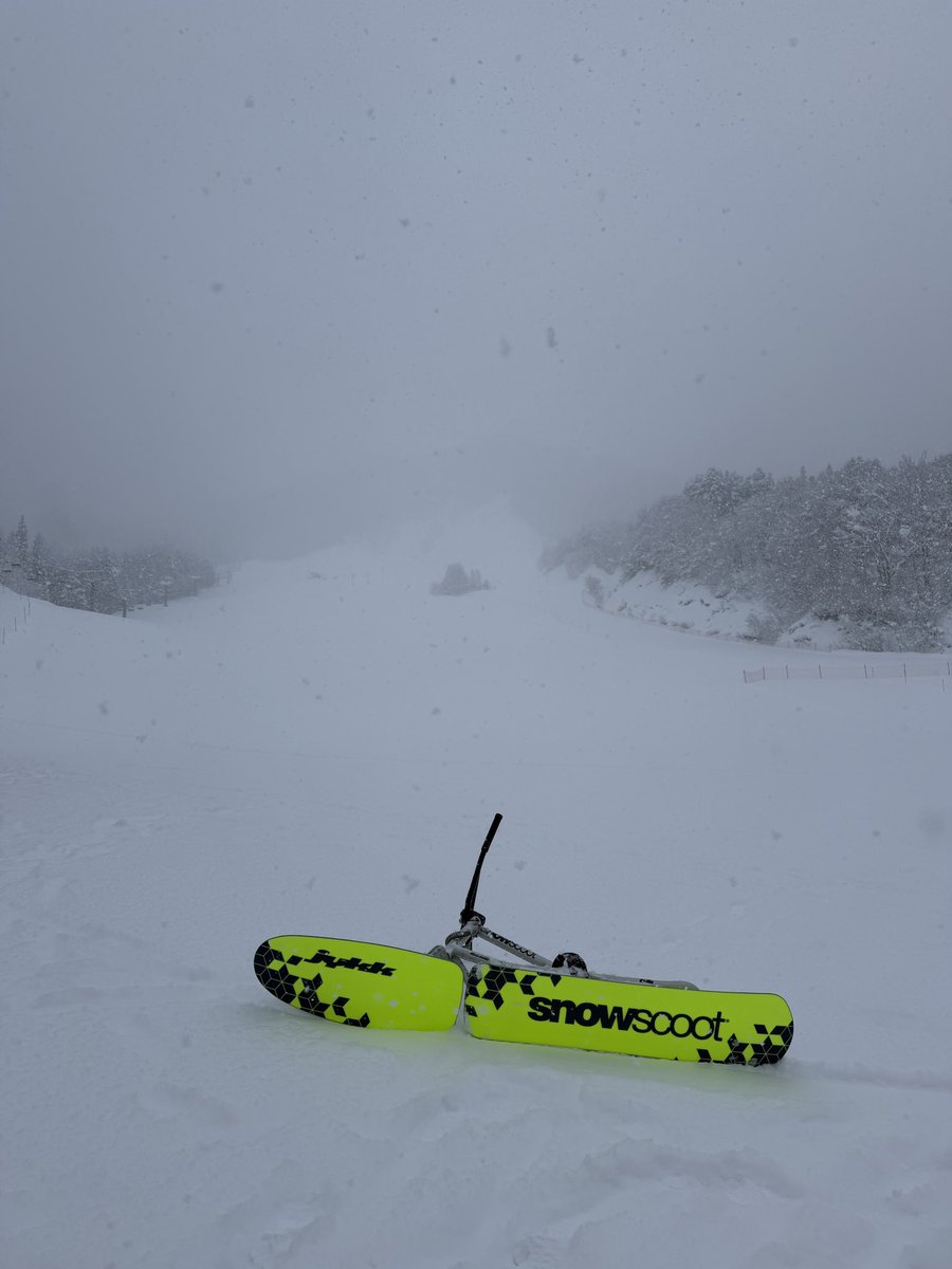 tkhr_oguri's tweet photo. AP-2 SIGNAL
雪面で映える🍋🍋

#スノースクート
@jykksnowscoot https://t.co/6ji9gLf6ws