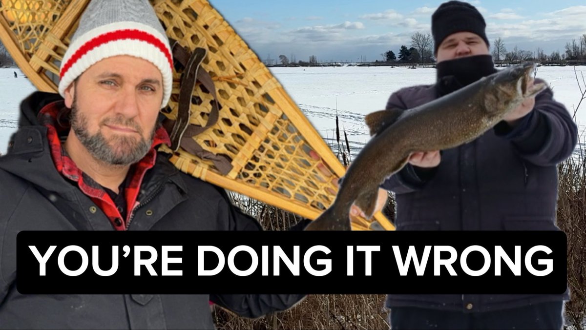 Randall Arsenault tweet media