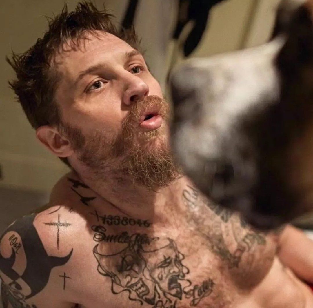KoRn_Penguin's tweet image. Tom Hardy ❤️❤️