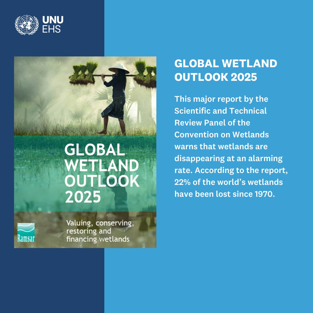 UN University - EHS tweet media