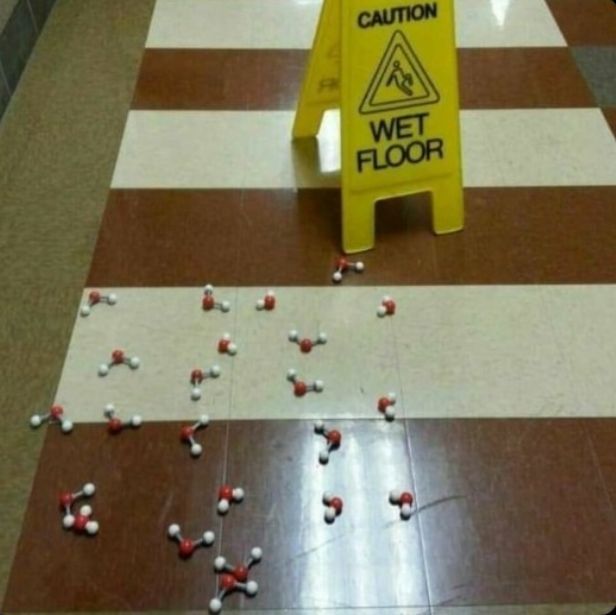 chincheto pirata somali (@wikipistacho) on Twitter photo 