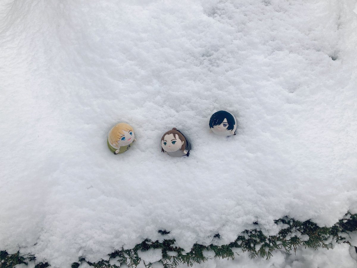 ❄️

#もちもち兵団