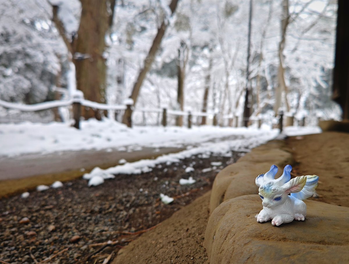 カニカニ🦀 tweet media