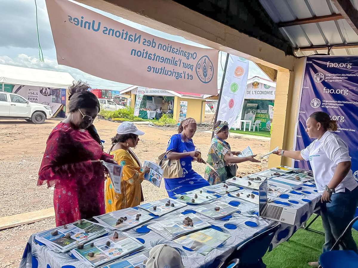 FAO en République du Congo tweet media