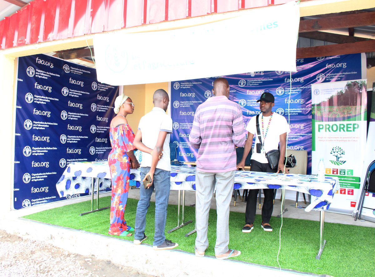 FAO en République du Congo tweet media