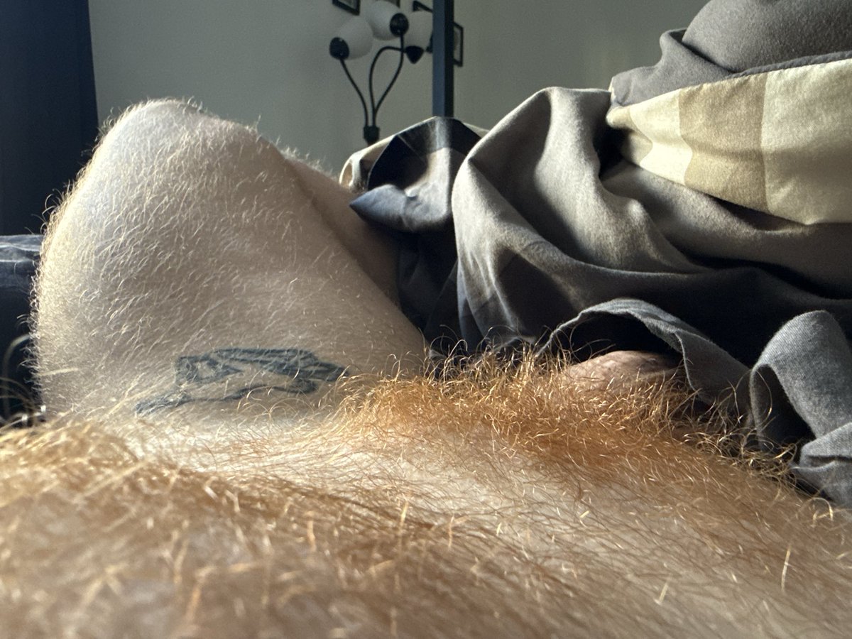 Fox Rosa 🦊🌹 tweet media