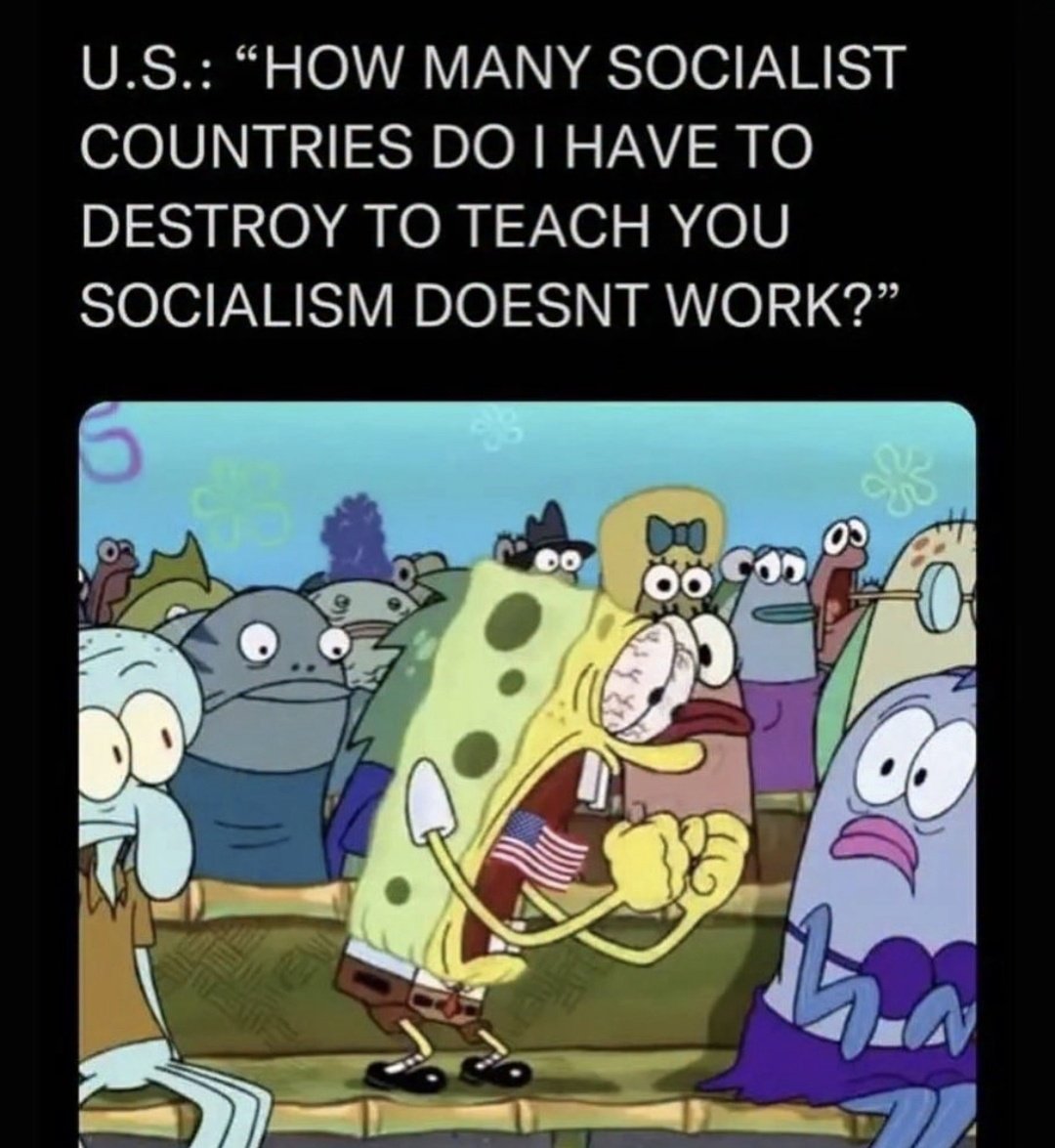 🧡Lulu🌾; (@itslulu_7) on Twitter photo 