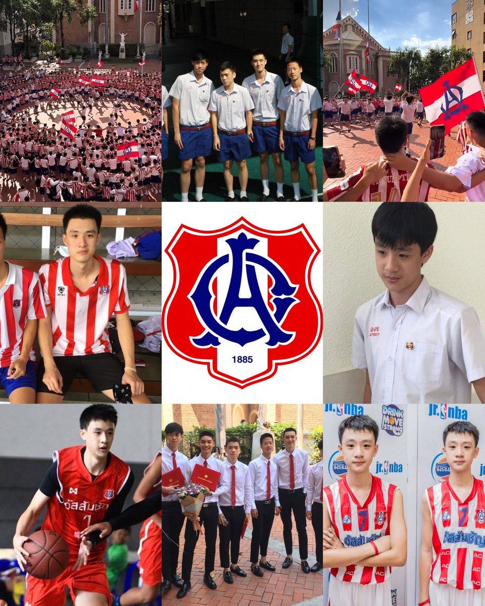 beam🐰 tweet media