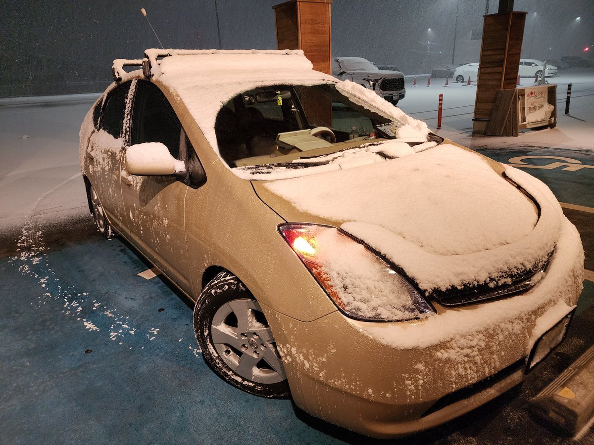 秒で積もるのやめてね〜☃️