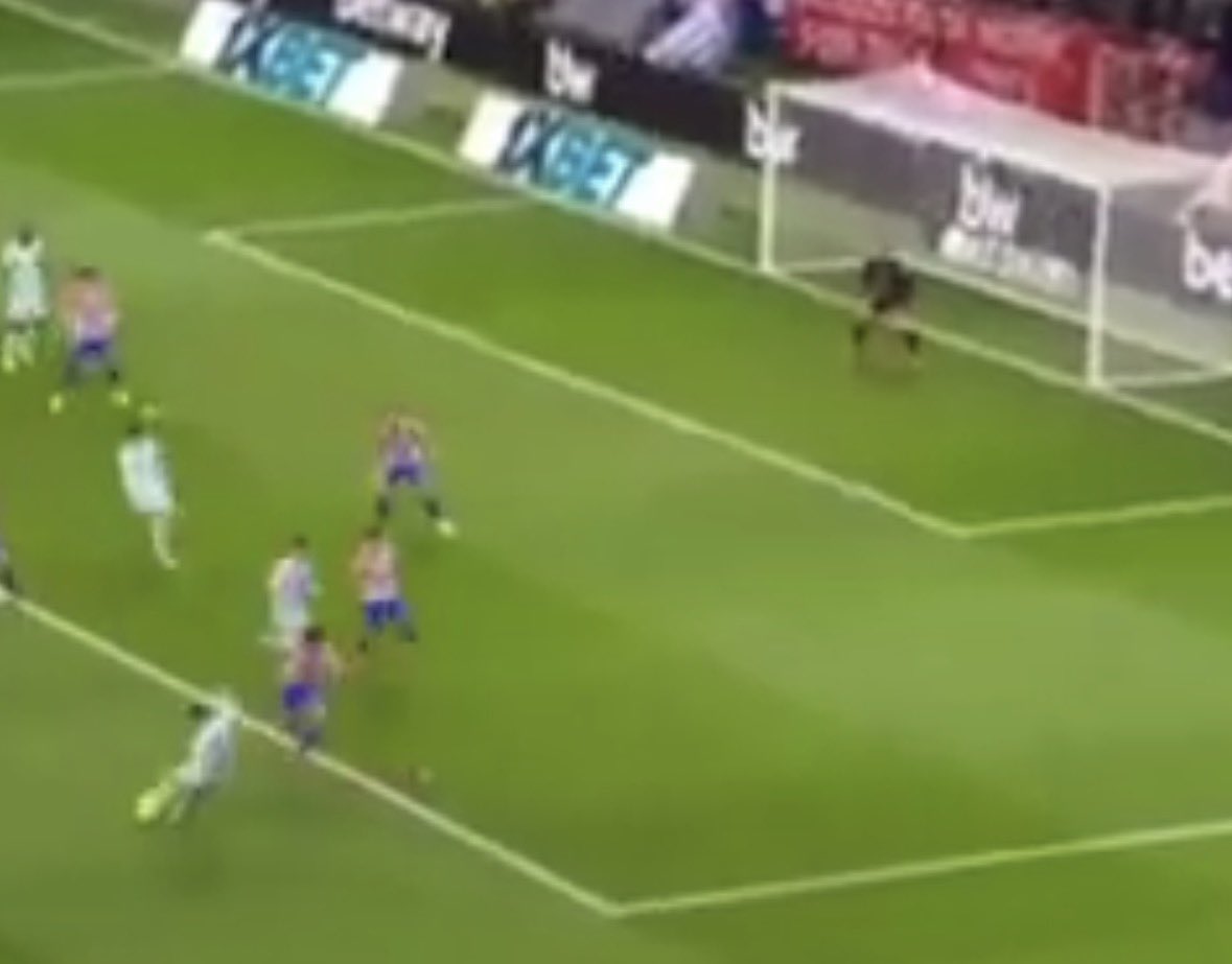 🏛 ℕ𝕠𝕧𝕠 tweet media