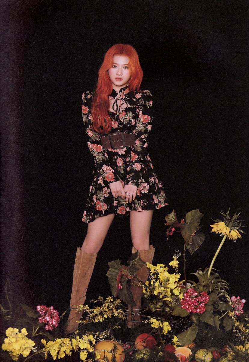 sweet9_venus's tweet image. [SCAN] TWICE THE 9TH MINI ALBUM 'MORE &amp;amp; MORE' A ver. "Photobook" - Sana

#TWICE #트와이스 #ONCE #원스
#SANA #사나
#MOREandMORE