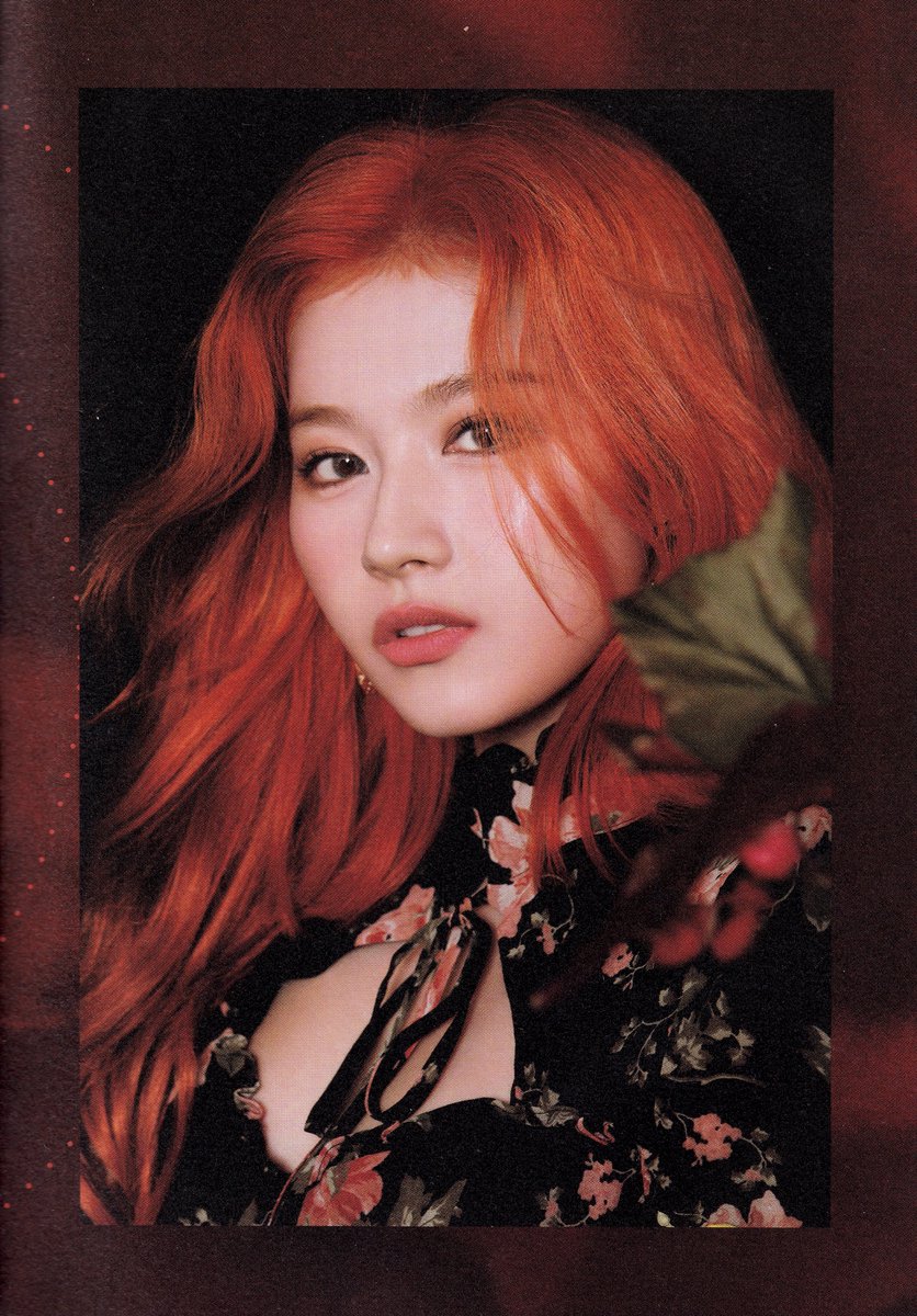 sweet9_venus's tweet image. [SCAN] TWICE THE 9TH MINI ALBUM 'MORE &amp;amp; MORE' A ver. "Photobook" - Sana

#TWICE #트와이스 #ONCE #원스
#SANA #사나
#MOREandMORE