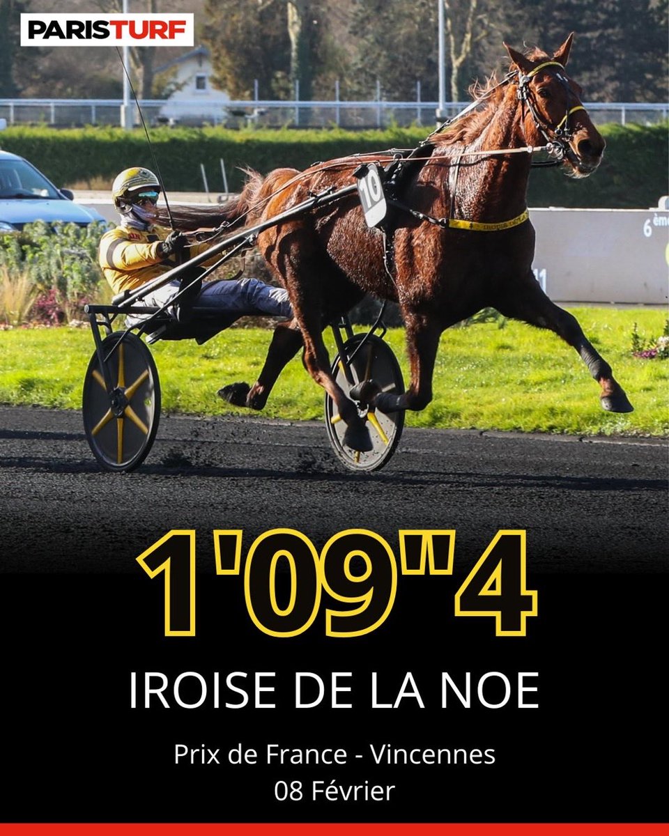 Lucas Benoit tweet media